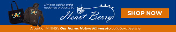 Heart Berry - Newsletter Banner 