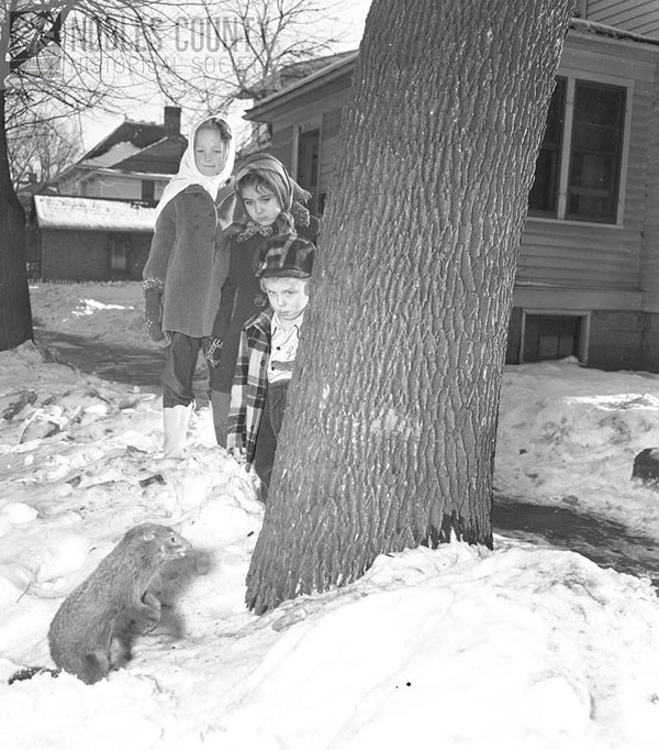 Three Children standing in snow next to-behind tree looking guardedly at a stuffed ground hog