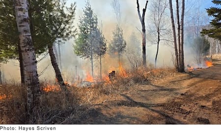 Fire burning in brush near a dirt road. Photo by Hayes Scriven