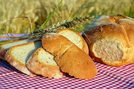 A boule of bread cut into thick slices on a checkered table cloth. A stalk of wheat lies picturesquely on top of it