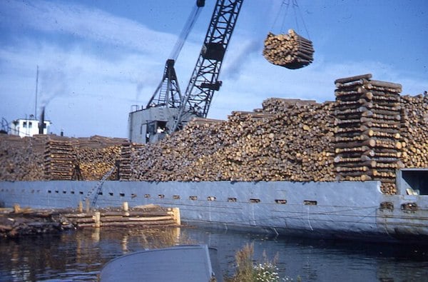 Pulpwood being loaded on freighters in harbor by a crane. early 1950s