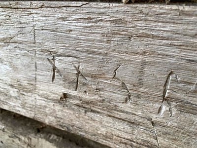 A hewn wooden log with crude rune markings carved on it
