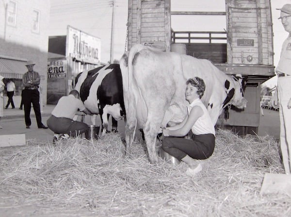 Dairy Princess for Rock County milking cow-June 30, 1960