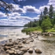 Environment
