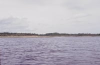 Northwest end of Northwest Angle Inlet, Lake of the Woods