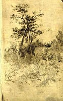Two Crossed Trees, c.1885. Etching by Robert Koehler.