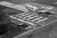 Black and white photograph of a turkey farm, Atwater, 1973. Photograph by Vincent H. Mart.