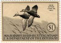 Federal Duck Stamp Design