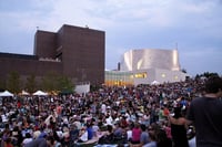 cat_video_festival
