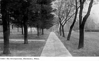 Photograph of Residential street, Harmony, MN