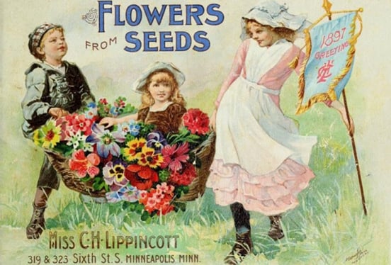 seed_catalog_title_page-1