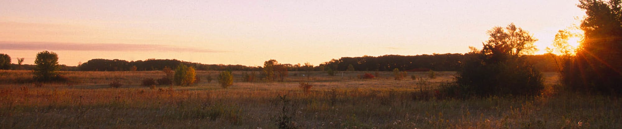 Birch Coulee Battlefield.