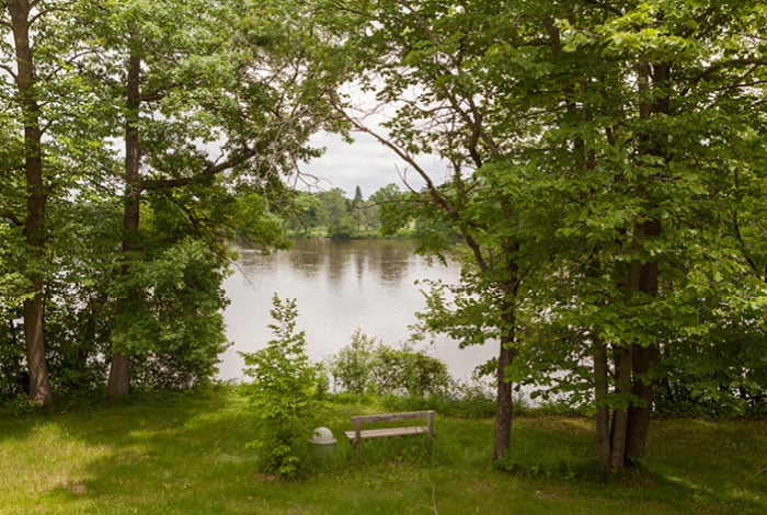 cal_700x470_learn_statepark_0