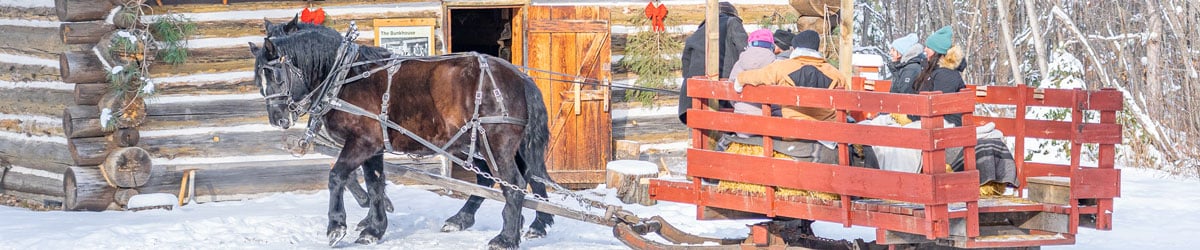 Winter Horse-Drawn Rides. Winter Horse-Drawn Rides.