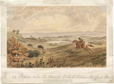 Buffalo Hunt
