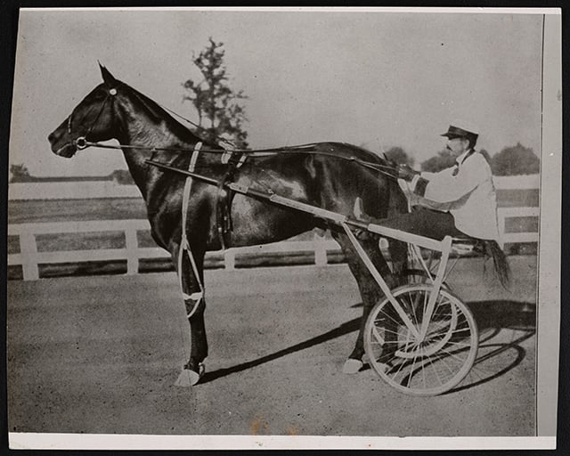 Dan Patch and driver