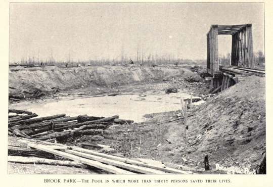 Black and white photograph of Brook Park (Pokegama) after a catastrophic fire, ca. 1894.