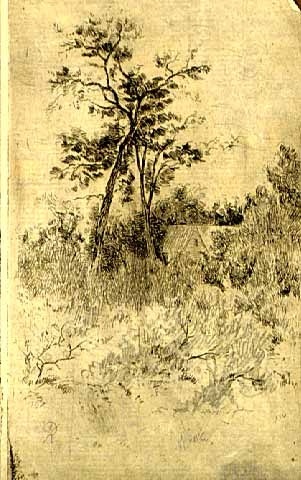Two Crossed Trees, c.1885. Etching by Robert Koehler.