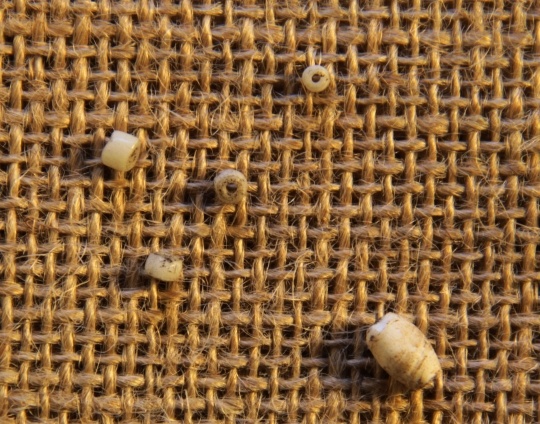 Color image of four small beads from 2009 excavation and one larger bead from 2010.