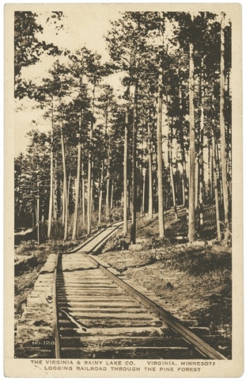 Logging tracks laid through the pine forest by the Virginia and Rainy Lake Company, ca. 1928.