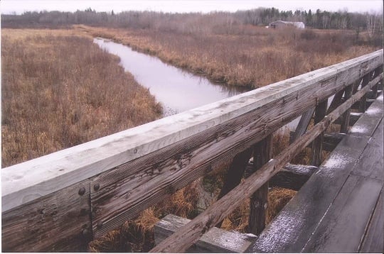 Minnesota and International Railway trestle bridge with a view of Coburn Creek