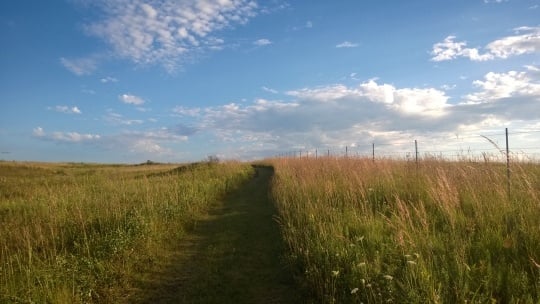 Color image of the Mound hiking trail, 2014. From the photograph collection of the Minnesota Department of Natural Resources.
