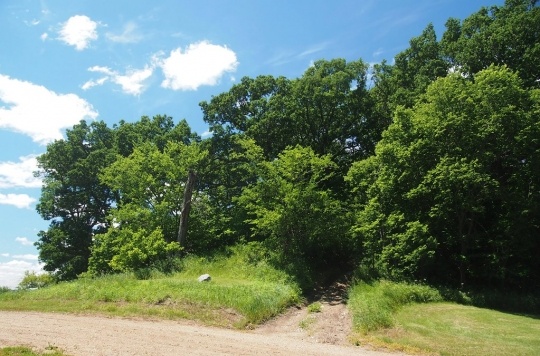 View of old mountain island, Mountain Lake