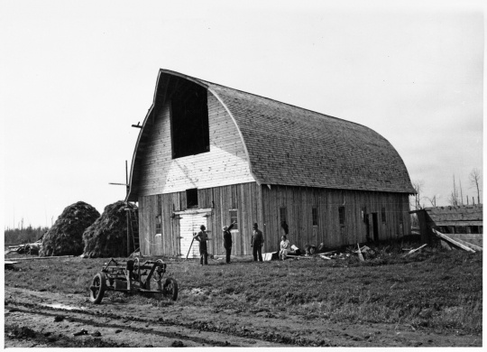 Black and white photograph of a new barn constructed on Beltrami Island Relocation Project, ca. 1937.