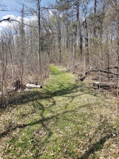 Savanna Portage Trail, 2018. Photograph by Jon Lurie used with the permission of Jon Lurie.