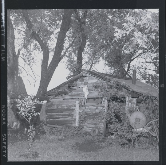 One of the original Buffalo River colony cabins