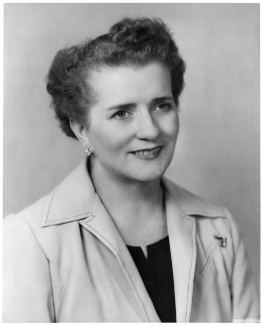 Coya Knutson