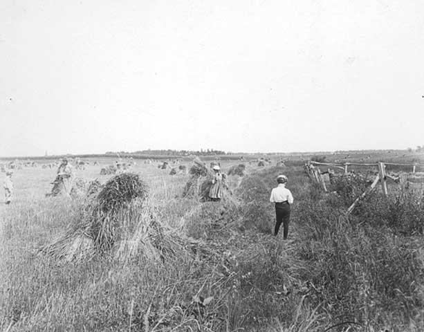 brechet-field brechet-field