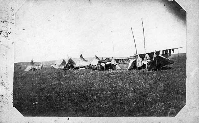 dakota-prairie dakota-prairie
