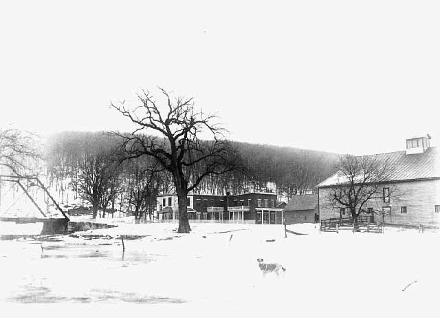 forestvillestorebarn