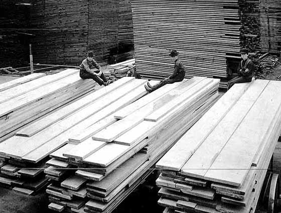 in-the-lumberyard in-the-lumberyard