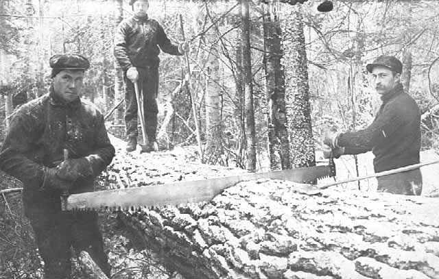 lumberjacks lumberjacks