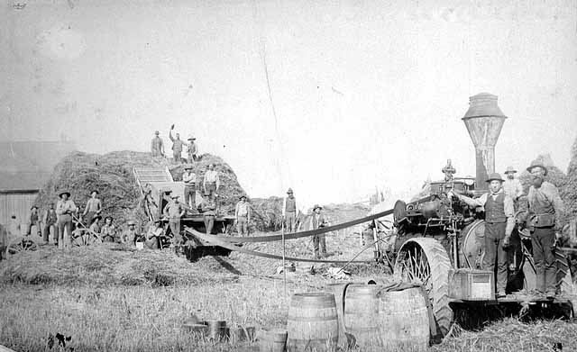 threshing threshing